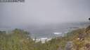./images/calvert/foggy-cove/20260505/foggy-cove20260505_103501M.jpg