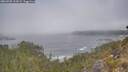 ./images/calvert/foggy-cove/20260505/foggy-cove20260505_104502M.jpg