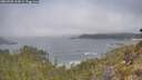 ./images/calvert/foggy-cove/20260505/foggy-cove20260505_105002M.jpg