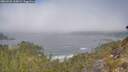 ./images/calvert/foggy-cove/20260505/foggy-cove20260505_110001M.jpg