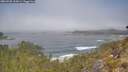 ./images/calvert/foggy-cove/20260505/foggy-cove20260505_112001M.jpg