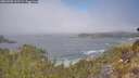 ./images/calvert/foggy-cove/20260505/foggy-cove20260505_112501M.jpg