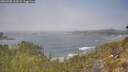 ./images/calvert/foggy-cove/20260505/foggy-cove20260505_113502M.jpg