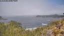 ./images/calvert/foggy-cove/20260505/foggy-cove20260505_114001M.jpg