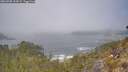 ./images/calvert/foggy-cove/20260505/foggy-cove20260505_114501M.jpg