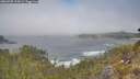 ./images/calvert/foggy-cove/20260505/foggy-cove20260505_115001M.jpg