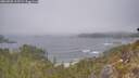 ./images/calvert/foggy-cove/20260505/foggy-cove20260505_115501M.jpg