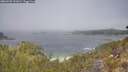 ./images/calvert/foggy-cove/20260505/foggy-cove20260505_121001M.jpg
