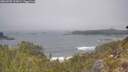 ./images/calvert/foggy-cove/20260505/foggy-cove20260505_122001M.jpg
