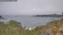 ./images/calvert/foggy-cove/20260505/foggy-cove20260505_122501M.jpg