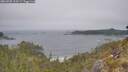 ./images/calvert/foggy-cove/20260505/foggy-cove20260505_123501M.jpg