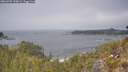 ./images/calvert/foggy-cove/20260505/foggy-cove20260505_130001M.jpg
