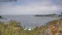 ./images/calvert/foggy-cove/20260505/foggy-cove20260505_130501M.jpg