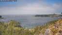 ./images/calvert/foggy-cove/20260505/foggy-cove20260505_131001M.jpg
