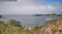./images/calvert/foggy-cove/20260505/foggy-cove20260505_131501M.jpg