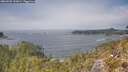 ./images/calvert/foggy-cove/20260505/foggy-cove20260505_132001M.jpg