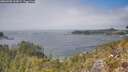 ./images/calvert/foggy-cove/20260505/foggy-cove20260505_133001M.jpg