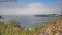 ./images/calvert/foggy-cove/20260505/foggy-cove20260505_133502M.jpg