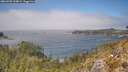 ./images/calvert/foggy-cove/20260505/foggy-cove20260505_134001M.jpg