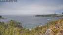 ./images/calvert/foggy-cove/20260505/foggy-cove20260505_134501M.jpg