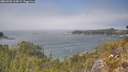 ./images/calvert/foggy-cove/20260505/foggy-cove20260505_135002M.jpg