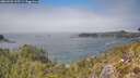 ./images/calvert/foggy-cove/20260505/foggy-cove20260505_135501M.jpg