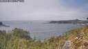 ./images/calvert/foggy-cove/20260505/foggy-cove20260505_140001M.jpg