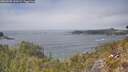 ./images/calvert/foggy-cove/20260505/foggy-cove20260505_140501M.jpg