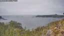./images/calvert/foggy-cove/20260505/foggy-cove20260505_141001M.jpg