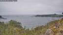 ./images/calvert/foggy-cove/20260505/foggy-cove20260505_141501M.jpg