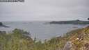 ./images/calvert/foggy-cove/20260505/foggy-cove20260505_142001M.jpg