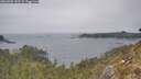 ./images/calvert/foggy-cove/20260505/foggy-cove20260505_142502M.jpg