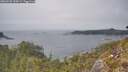 ./images/calvert/foggy-cove/20260505/foggy-cove20260505_145001M.jpg