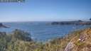 ./images/calvert/foggy-cove/20260505/foggy-cove20260505_162501M.jpg