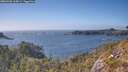 ./images/calvert/foggy-cove/20260505/foggy-cove20260505_164501M.jpg