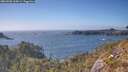 ./images/calvert/foggy-cove/20260505/foggy-cove20260505_165001M.jpg