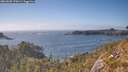 ./images/calvert/foggy-cove/20260505/foggy-cove20260505_170001M.jpg