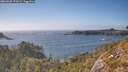 ./images/calvert/foggy-cove/20260505/foggy-cove20260505_170501M.jpg