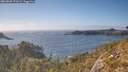 ./images/calvert/foggy-cove/20260505/foggy-cove20260505_171001M.jpg