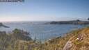 ./images/calvert/foggy-cove/20260505/foggy-cove20260505_171501M.jpg