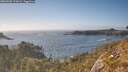 ./images/calvert/foggy-cove/20260505/foggy-cove20260505_173001M.jpg
