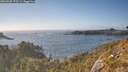 ./images/calvert/foggy-cove/20260505/foggy-cove20260505_173501M.jpg