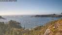 ./images/calvert/foggy-cove/20260505/foggy-cove20260505_174001M.jpg