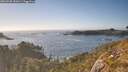 ./images/calvert/foggy-cove/20260505/foggy-cove20260505_181001M.jpg