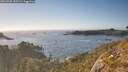 ./images/calvert/foggy-cove/20260505/foggy-cove20260505_181501M.jpg