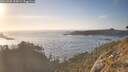 ./images/calvert/foggy-cove/20260505/foggy-cove20260505_194501M.jpg