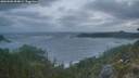 ./images/calvert/foggy-cove/20260506/foggy-cove20260506_054001M.jpg