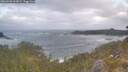 ./images/calvert/foggy-cove/20260506/foggy-cove20260506_062001M.jpg