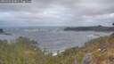 ./images/calvert/foggy-cove/20260506/foggy-cove20260506_063001M.jpg