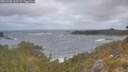 ./images/calvert/foggy-cove/20260506/foggy-cove20260506_063501M.jpg
